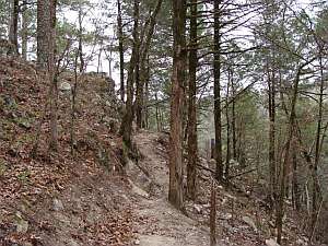 Cossatot Rugged trail.